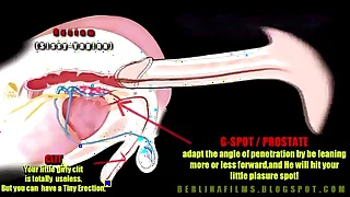 11918 shemale anal porn videos